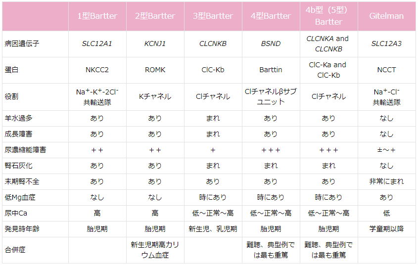 表. Bartter症候群、Gitelman症候群の病態(参考文献1~8)