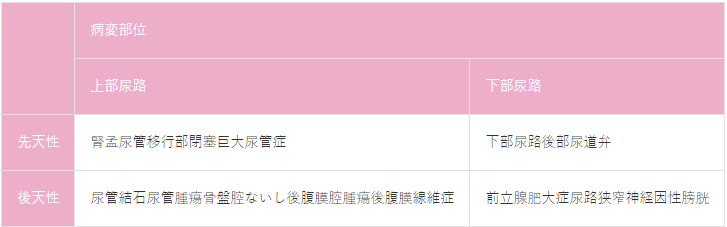 表1 閉塞性腎症の原因疾患