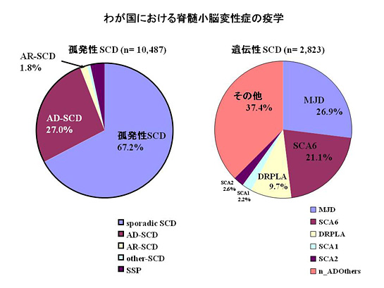 小脳 変性 症 脊髄