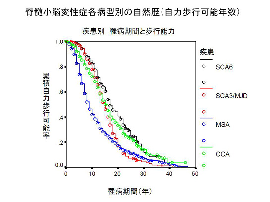 脊髄小脳変性各病型別の自然歴(自力歩行可能年数)