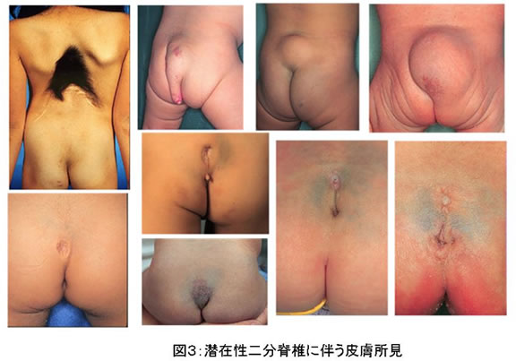 図表3