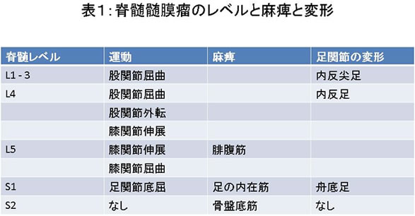 表1:脊髄髄膜瘤のレベルと麻痺と変形