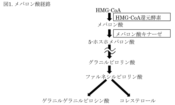 図1.メバロン酸経路