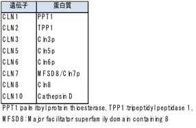 表