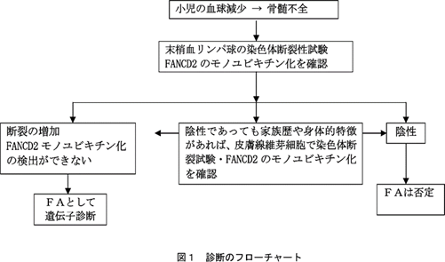 図1 診断のフローチャート